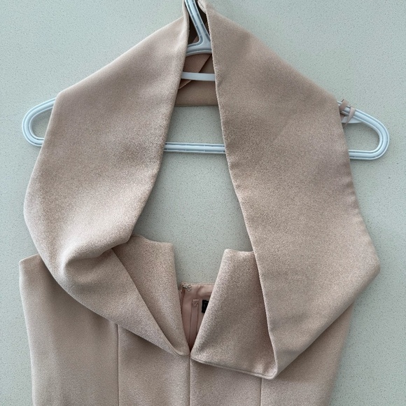 BCBGMaxAzria Marquise Bare Pink Split V-Neck Dress - Picture 14 of 14